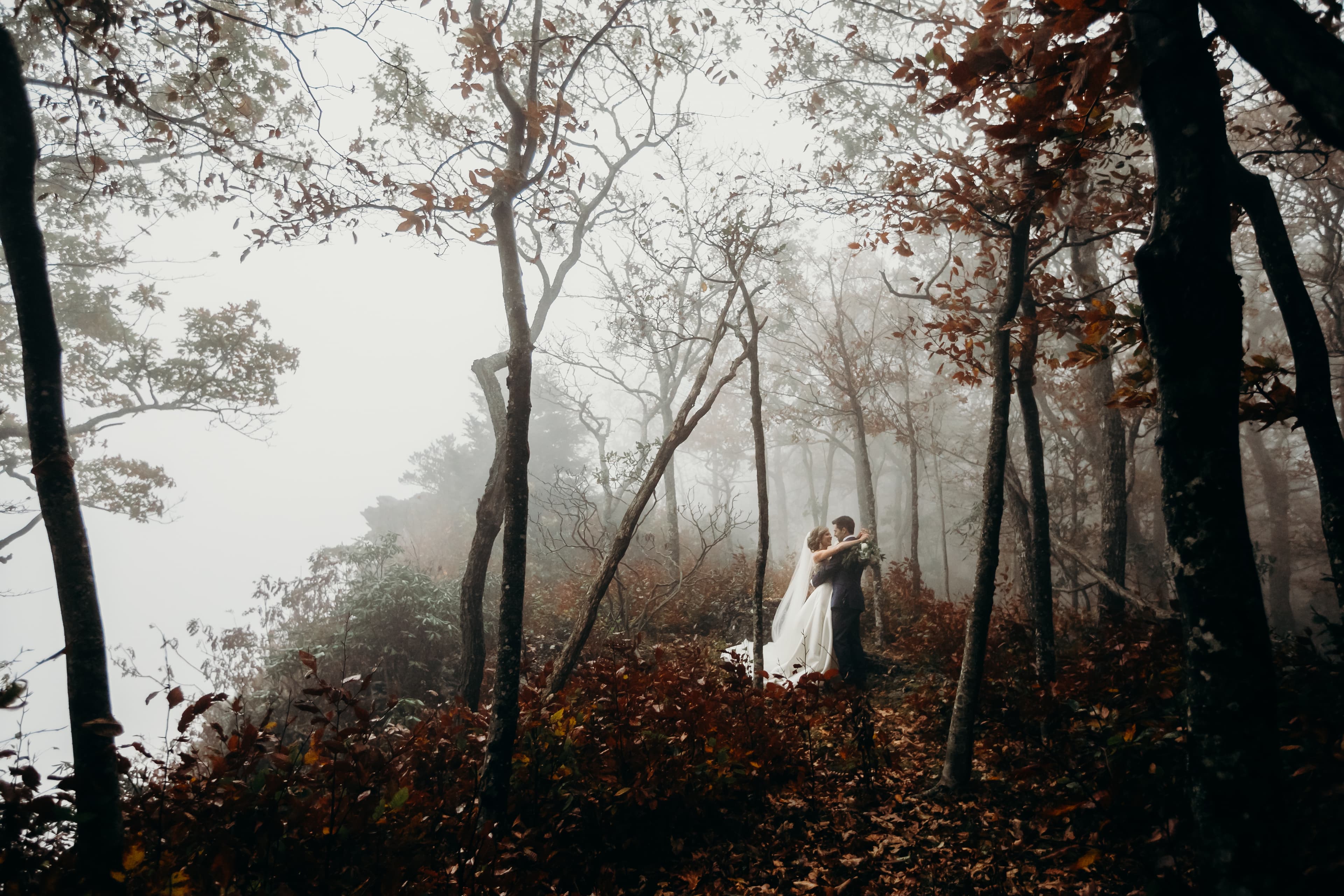 Weddings slideshow image 26